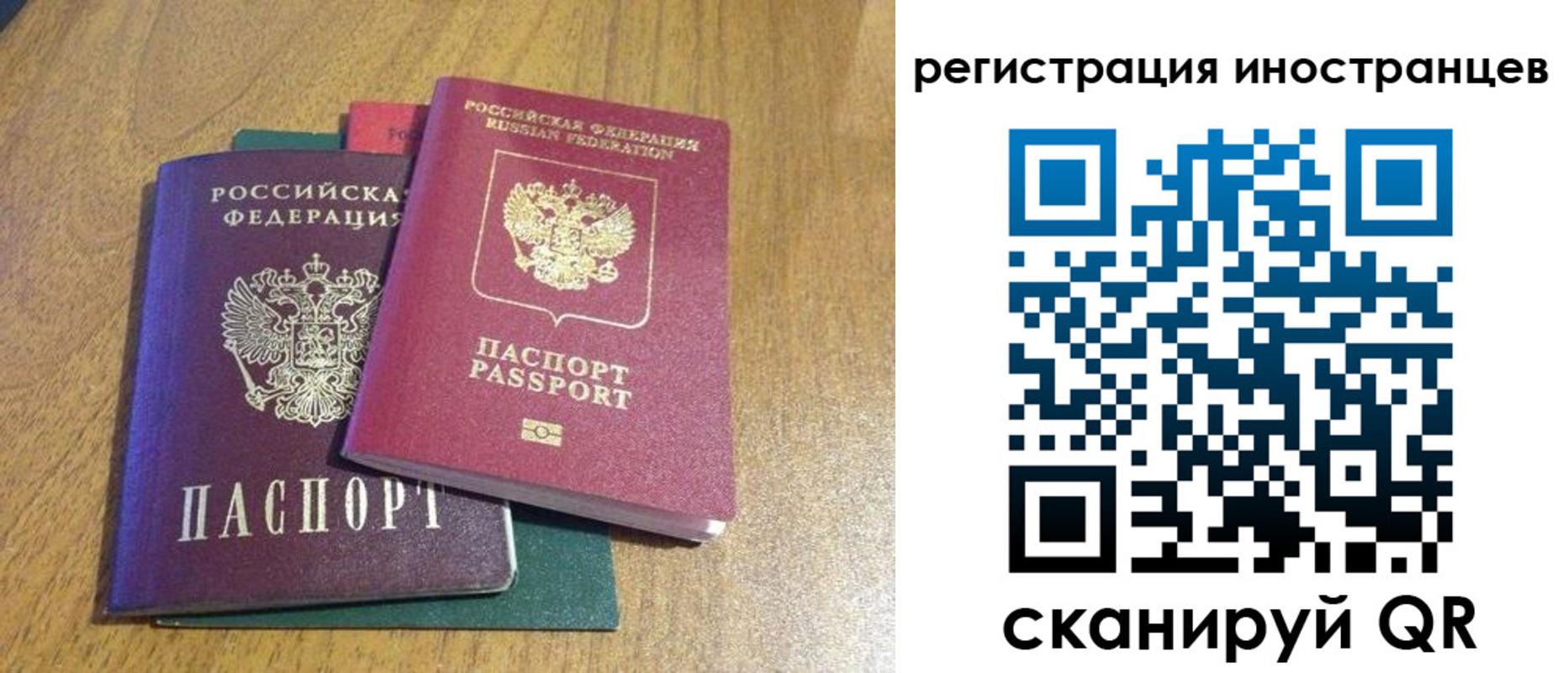 временная регистрация поиск в Светогорске